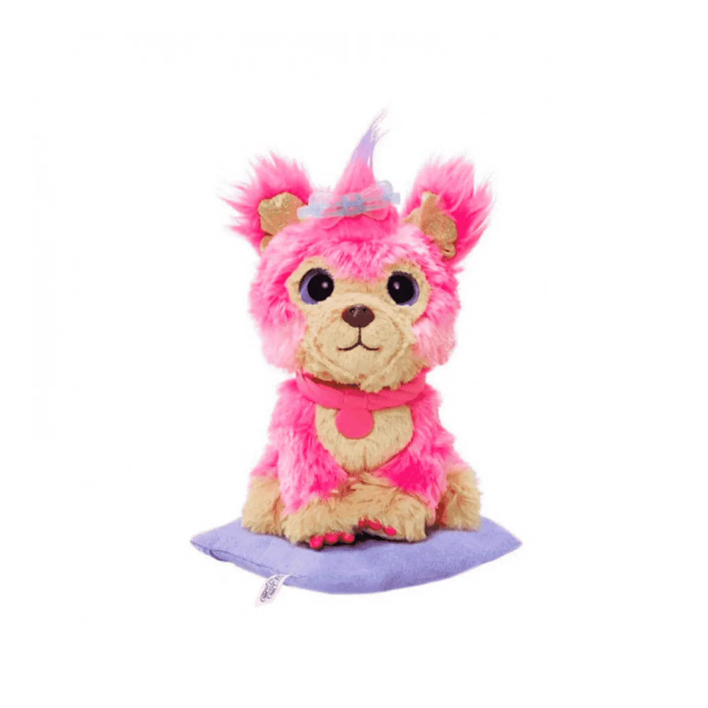 Adoptanimals Centro de Cuidados Rosa
