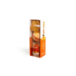 IDC Institute Smoothie Mango