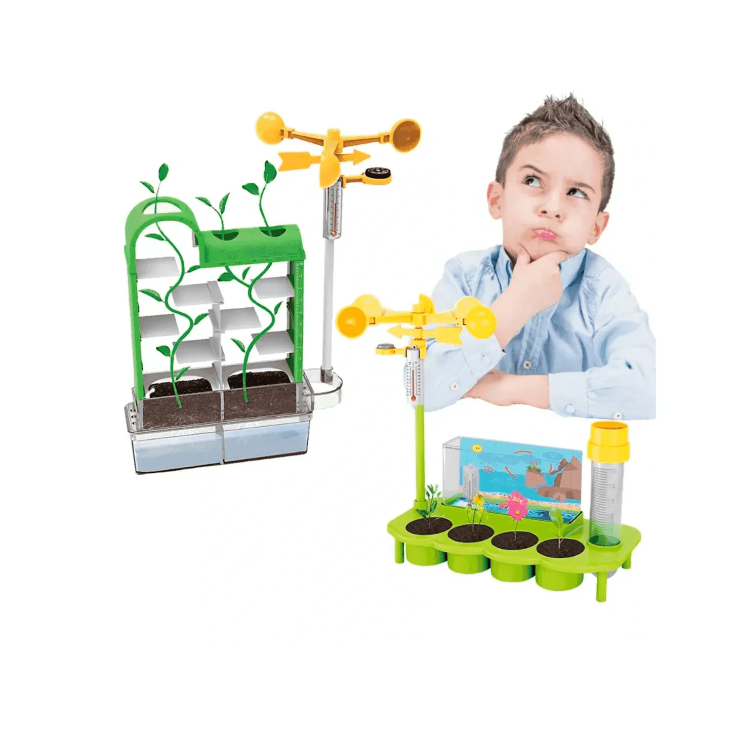 Laberinto de Plantas STEM Cultiva y Descubre el Mundo de la Botánica