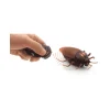 RC Cucaracha con Control Remoto Infrarrojo – Juguete Interactivo y Realista