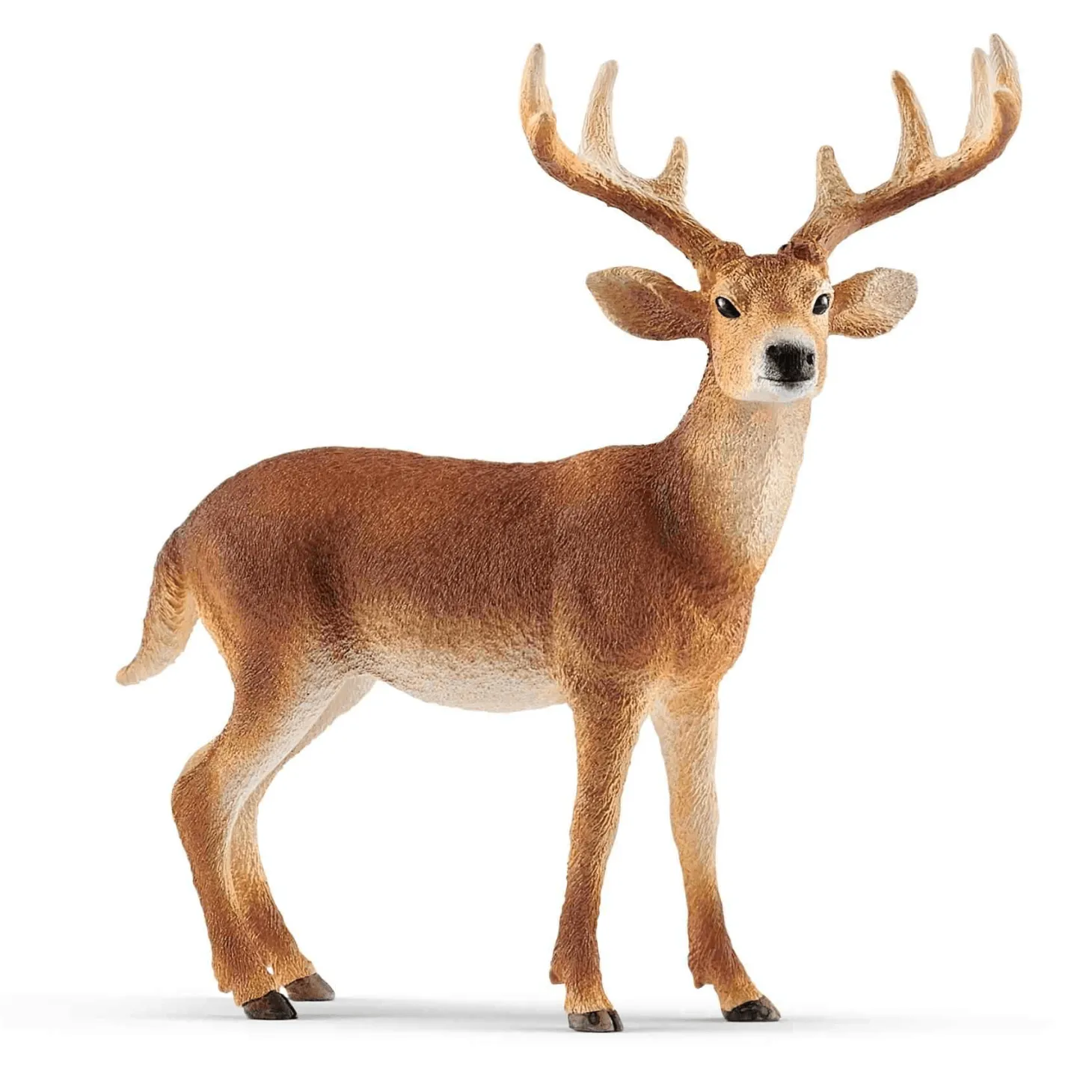 Schleich Figura Ciervo De Cola Blanca Macho