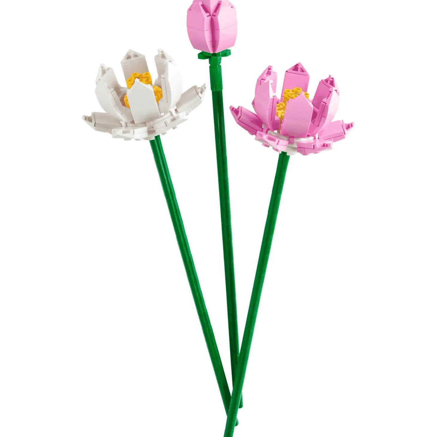 Set de juguetes de construcción LEGO 40647 Flores de Loto, para mayores de 8 años (220 piezas)